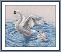 первый полет